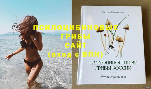 ГАЛЛЮЦИНОГЕННЫЕ ГРИБЫ Абинск